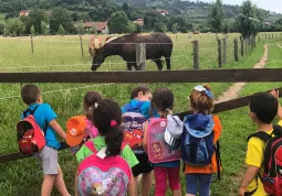 Servizi estivi bambini e ragazzi